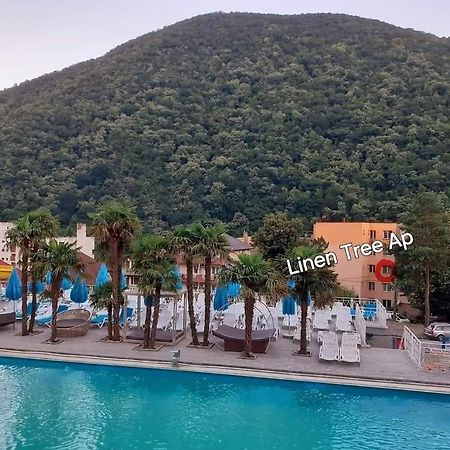 Linen Tree Apartment 伯伊莱海尔库拉内 外观 照片