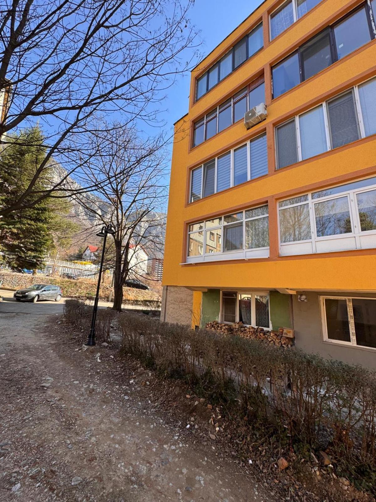 Linen Tree Apartment 伯伊莱海尔库拉内 外观 照片