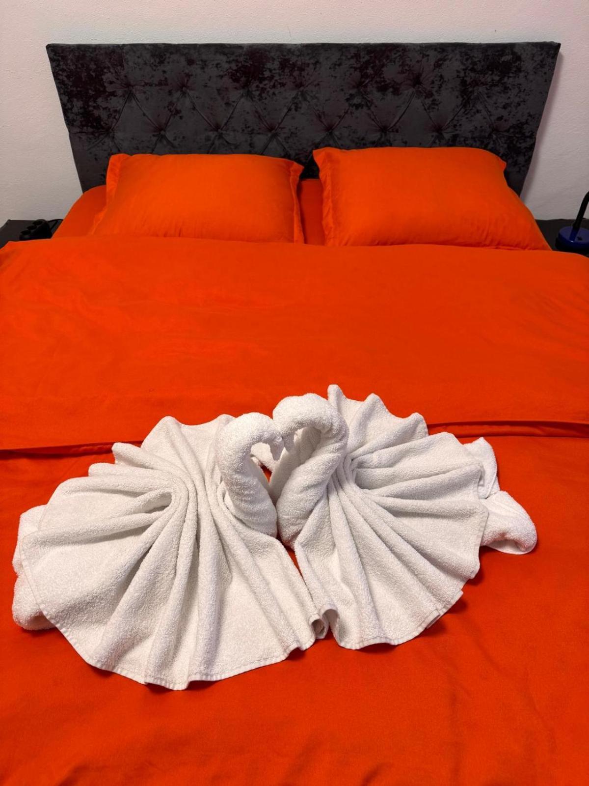 Linen Tree Apartment 伯伊莱海尔库拉内 外观 照片